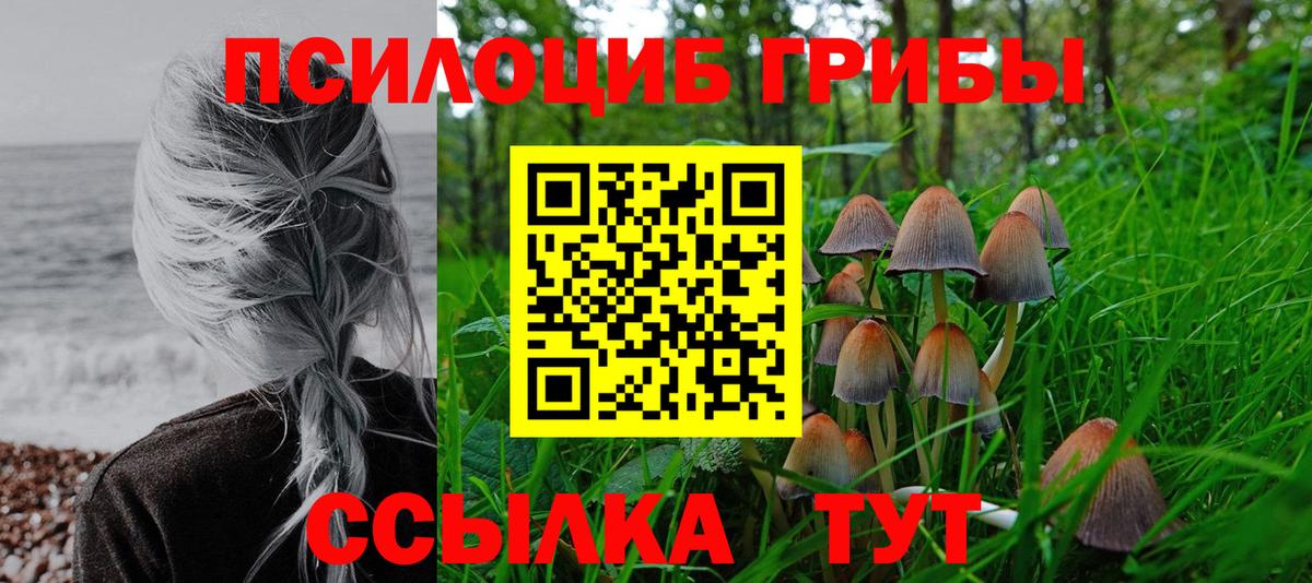Галлюциногенные грибы прущие грибы Кингисепп